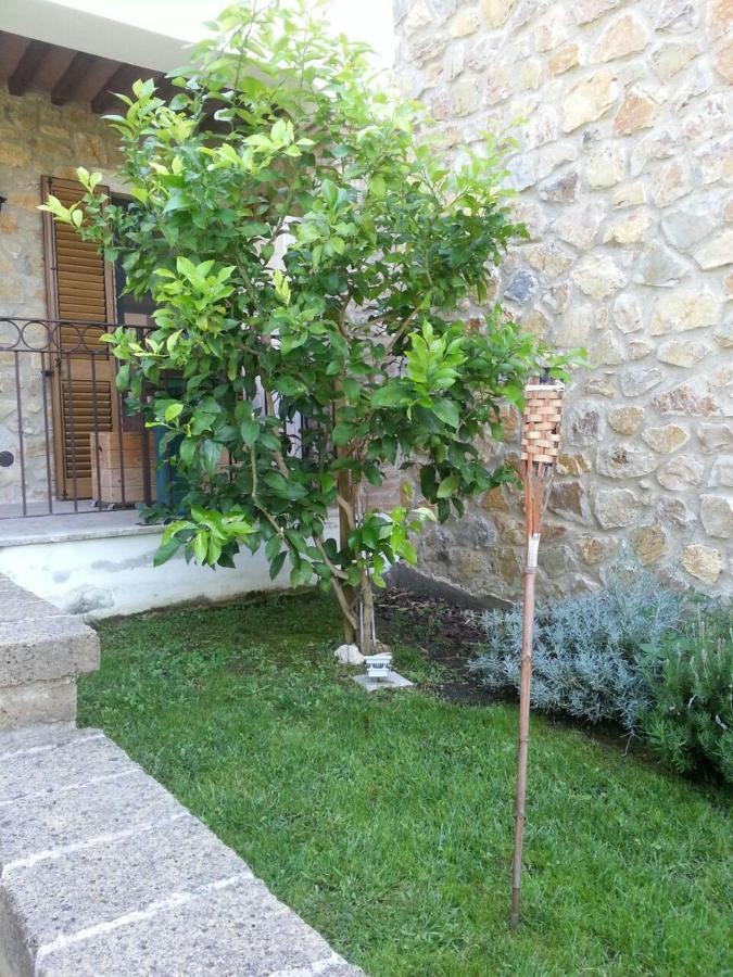 Il Poggio Da Leo Apartment Capanne Exterior foto